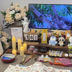 宠物家长客户见证